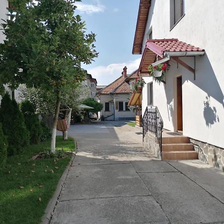 Pensiunea Ioana Curtea De Arges Exterior photo