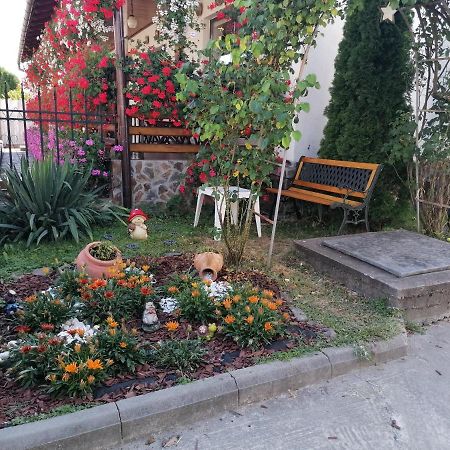 Pensiunea Ioana Curtea De Arges Exterior photo
