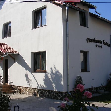 Pensiunea Ioana Curtea De Arges Exterior photo