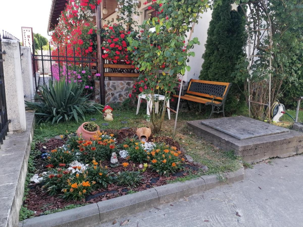 Pensiunea Ioana Curtea De Arges Exterior photo