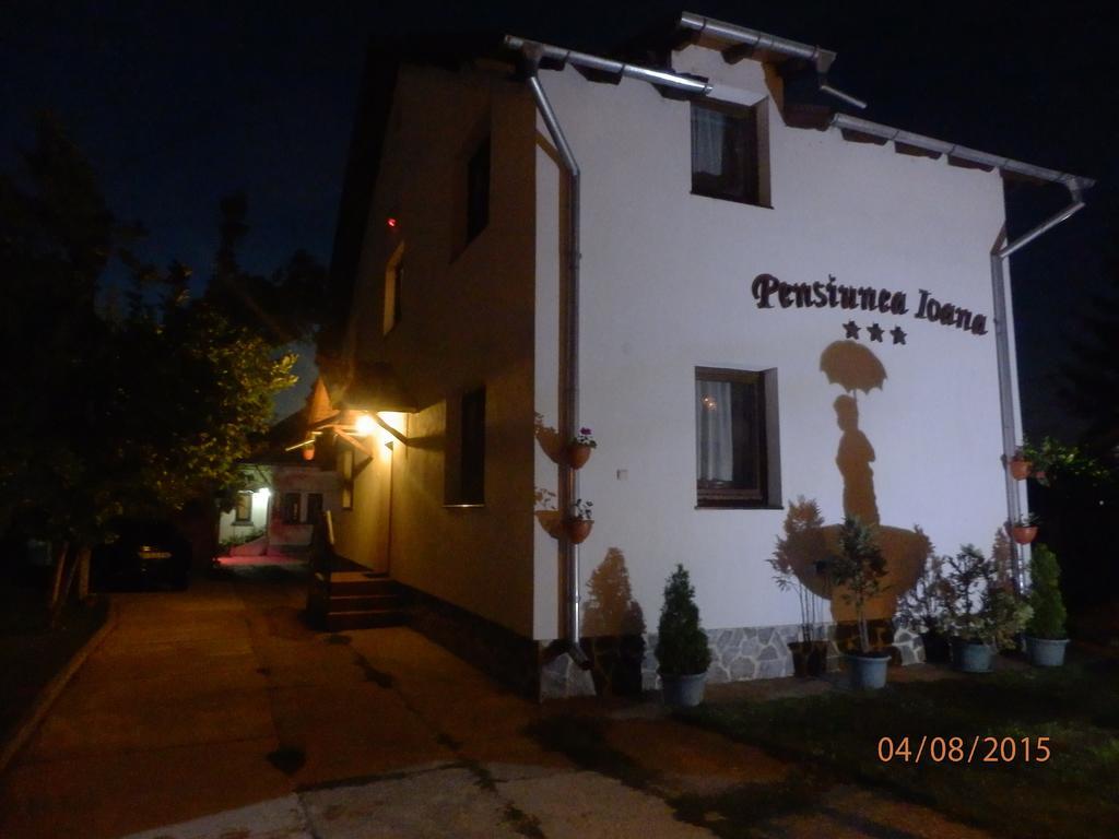 Pensiunea Ioana Curtea De Arges Exterior photo